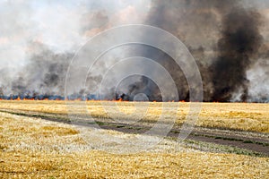 Fires dry completely destroy the fields. burning fields, tornado, smoke and fire