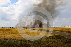 Fires dry completely destroy the fields. burning fields, tornado, smoke and fire