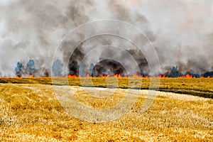 Fires dry completely destroy the fields. burning fields, tornado, smoke and fire