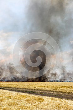 Fires dry completely destroy the fields. burning fields, tornado, smoke and fire