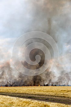 Fires dry completely destroy the fields. burning fields, tornado, smoke and fire