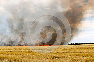 Fires dry completely destroy the fields. burning fields, tornado, smoke and fire