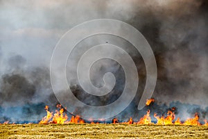 Fires dry completely destroy the fields. burning fields, tornado, smoke and fire