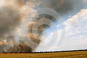 Fires dry completely destroy the fields. burning fields, tornado, smoke and fire