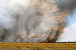 Fires dry completely destroy the fields. burning fields, tornado, smoke and fire