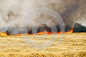 Fires dry completely destroy the fields. burning fields, tornado, smoke and fire