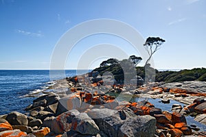 Firestone Bay Tasmania