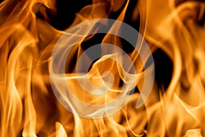 firestorm. Fire burning. Bright burning flames on a black background. Wall of Real fire, abstract background. Fire