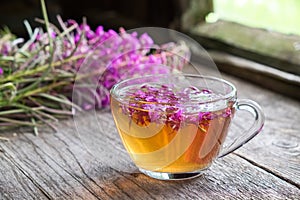 Fireweed healthy herbal tea. Mug of chamerion tea and bunch of medicinal herbs on background.