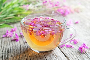 Fireweed healthy herbal tea. Mug of chamerion tea and bunch of medicinal herbs. photo
