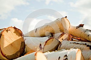 Firewood