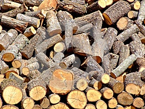 Firewood