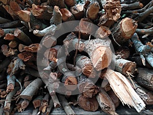 firewood