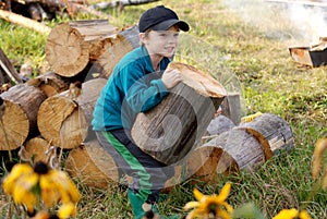 Firewood