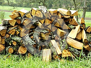 Firewood