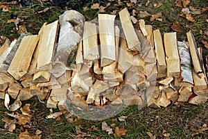 Firewood