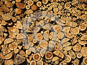 Firewood