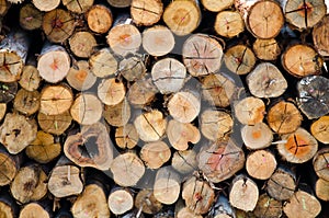 Firewood