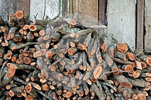 Firewood