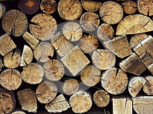 Firewood