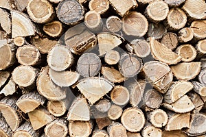 Firewood