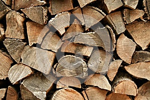 Firewood
