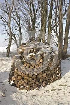 Firewood photo