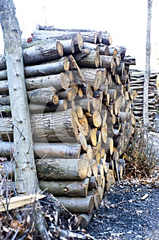 Firewood is any wooden material