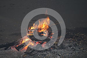 firewood being burnt in the open to celebrate Lohri, a festival in India