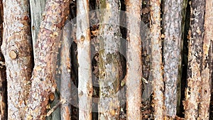 Firewood on big pile , top view, beautiful wooden logs. background of stacked logs top view from the drone. pile stacked natural