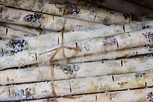 Firewood Bundles