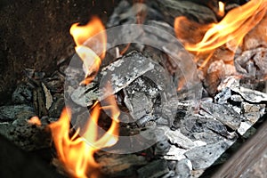 Firewood buring at campfire in the park during holidays photo