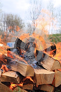 firewood in campfires