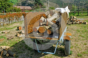 Firewood in the car trailer close-up on the backyard. Wood chopping process. Countryside life.