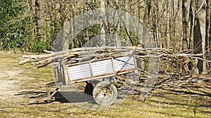 Firewood cart in Santa Fe del Montseny, Barcelona