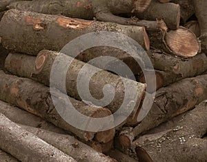 Firewood closeup, firewood background, forest, firewood, spruce, detailed close up texture of stacked firewood with