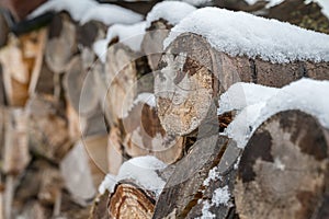 Firewood covered by snow is stored for further processing