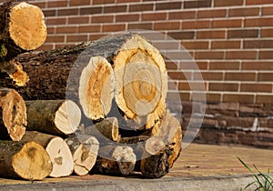 Firewood of different sizes stacked on the background of a brick wall of a residential building