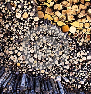 Firewood photo