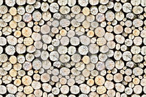 Firewood free-standing stack, seamless pattern