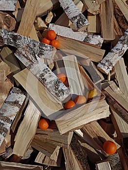 Firewood and fruits