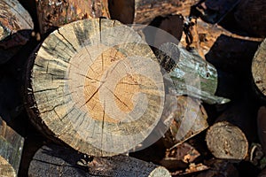 Firewood for furnace heating. Warehouse firewood for stove. Firewood stacked and prepared for winter Pile of wood logs