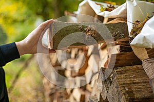 Firewood.hands pulling a log from a woodshed. solid fuel.Male hands pulling a log from a woodshed.Heating season in