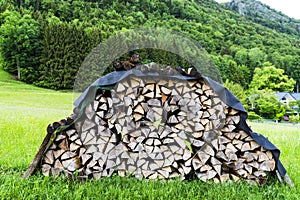Firewood for heating