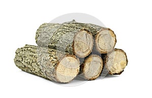 Firewood isolated on white. Oak Log Isolated on a white. Log fire wood isolated on white background