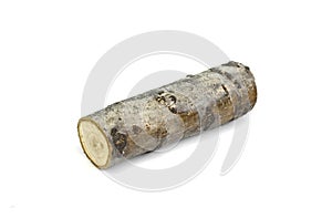 Firewood isolated on white. walnut tree Log Isolated on a white.