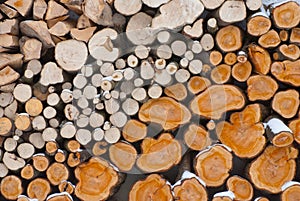 Firewood logs