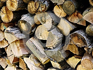 Firewood logs