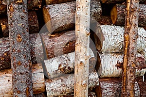 Firewood logs