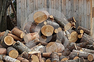 Firewood logs heaped in a pile